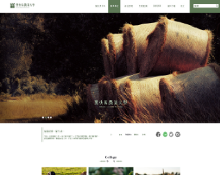 RWD綠色系版型設計004